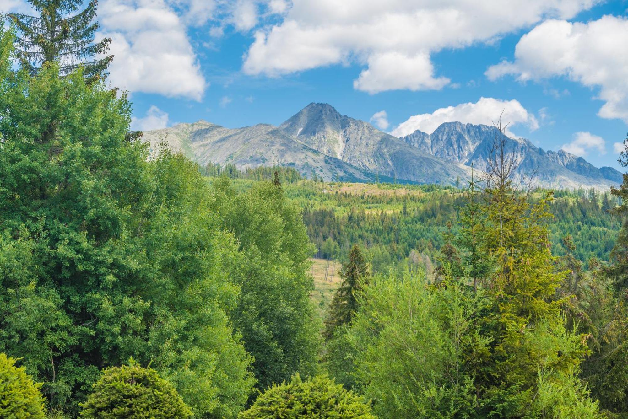 Sherpa'S Hostel High Tatras Strbske Pleso Exterior foto